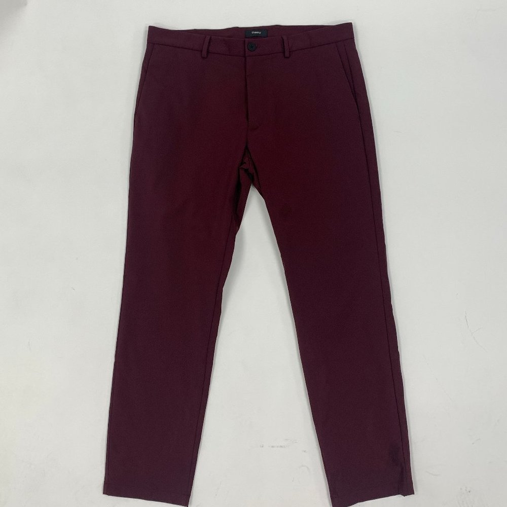 Theory burgundy pant